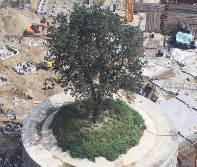 �差��400�f���o�Ř�ֵ��ֵ��