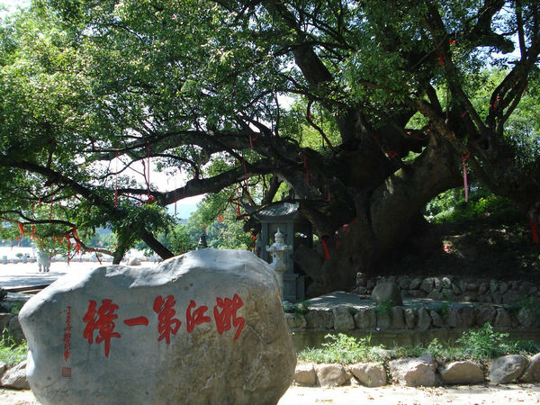 ����(sh��)