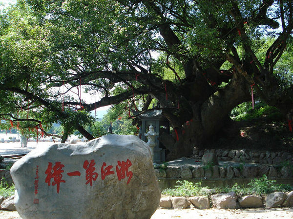 �Ř�(sh��)��ľ��Ϣ������