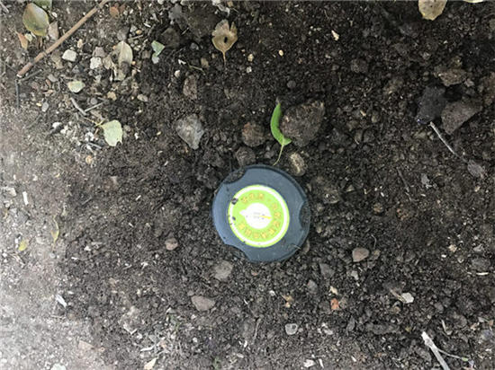 ��ρ����